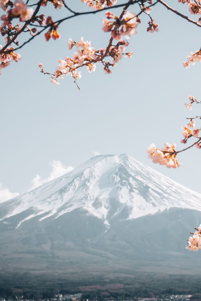 shiatsu technique de massage japon